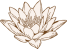 Lotus icon