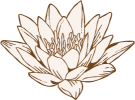 Lotus icon